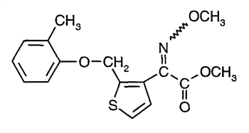 نوآریمول ( تری‌میدال )
